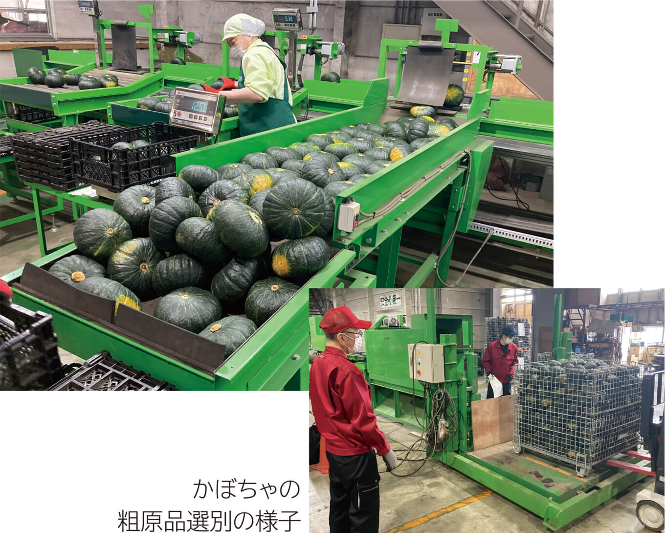 Vision2030 めざす姿の実現に向けた 7つの重点方策への取組内容
