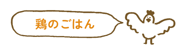 鶏のごはん