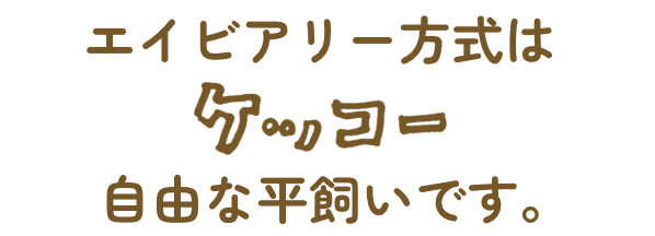 エイビアリー方式はケッコー自由な平飼いです。