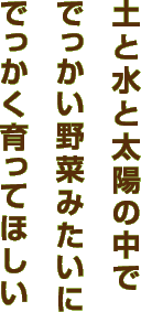 土と水と太陽の中ででっかい野菜みたいにでっかく育ってほしい