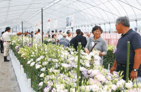 野菜や花きの新品種を一堂に集めて展示。