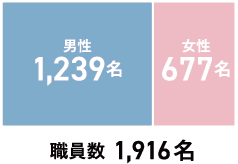 男性1,239名 女性677名 職員数1916名