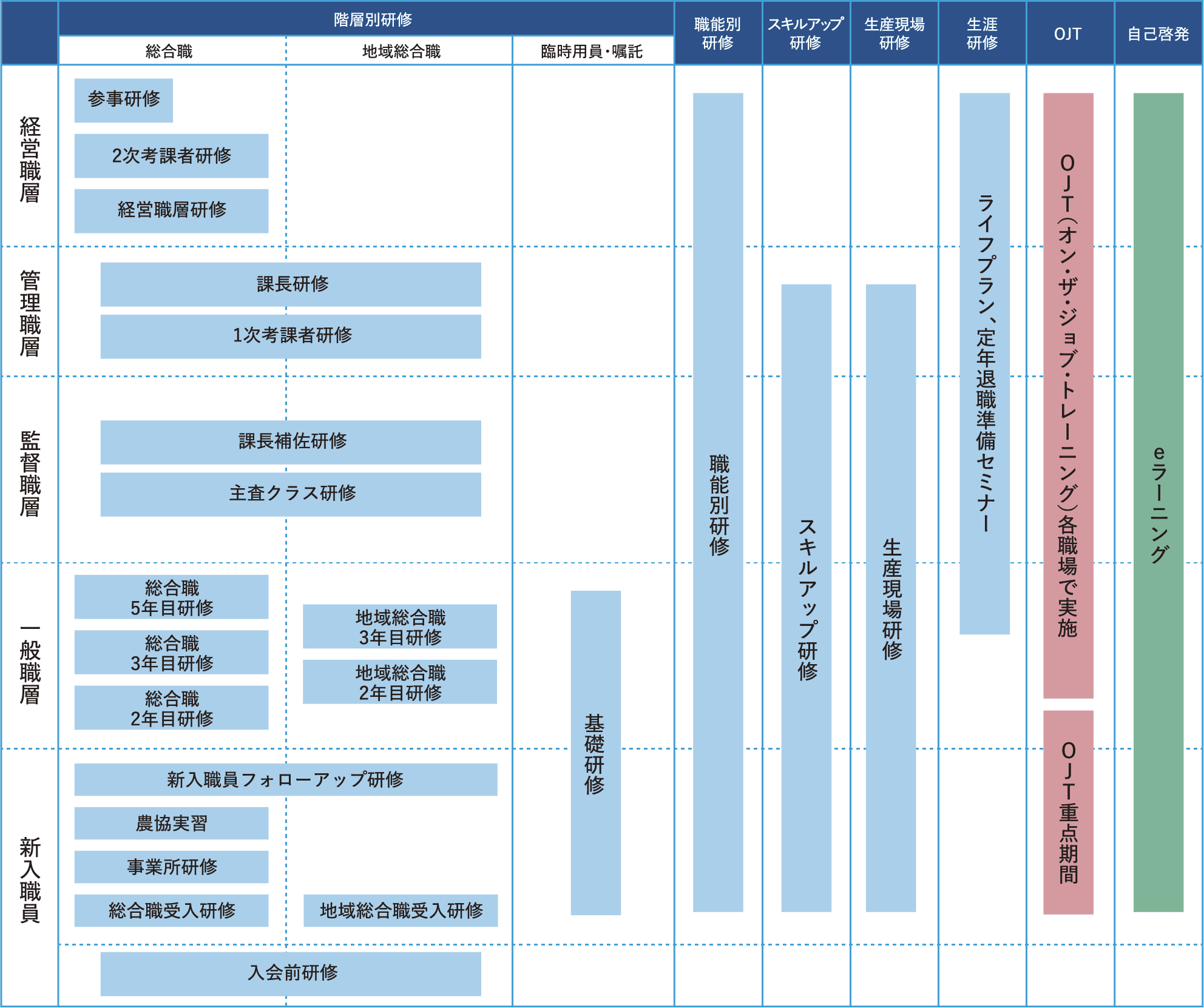 図：研修体制（2025年度実績）