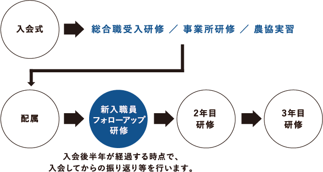 入会式→総合職受入研修 事業所研修 農協実習 配属→新入職員フォローアップ研修 入会後半年が経過する時点で、入会してからの振り返り等を行います。→2年目研修→3年目研修