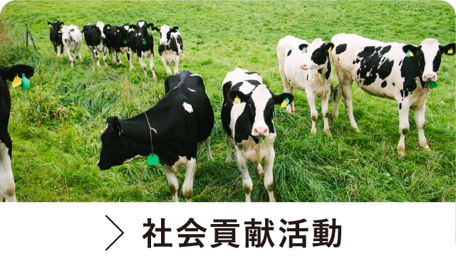 社会貢献活動