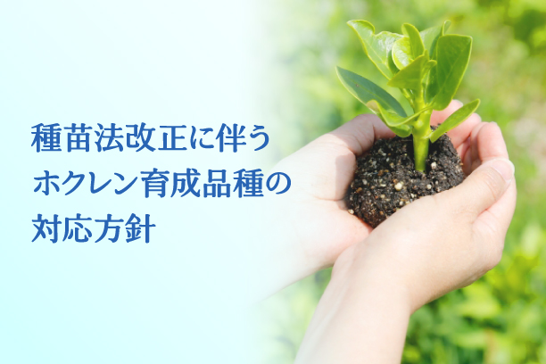 種苗法改正に伴うホクレン育成品種の対応方針