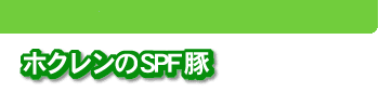 ホクレンのSPF豚