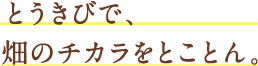 とうきびで、畑のチカラをとことん。